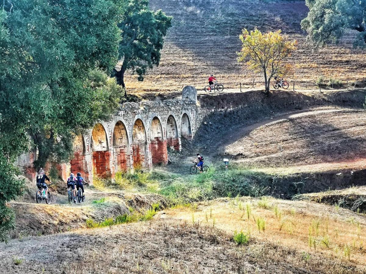 كامبيليا ماريتيما Camere Vecchia Fonte المظهر الخارجي الصورة